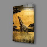 Giraffes Glass Wall Art