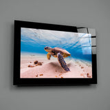 Turtle Glass Wall Art