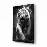 Tiger's Wrath Glass Wall Art || Designer's Collection