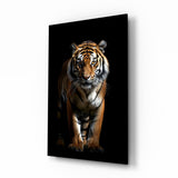 Tiger İm Hund || Designer -Sammlung Glasbild