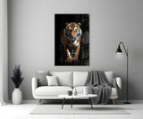 Tiger in the Dog Glass Wall Art|| Designer's Collection