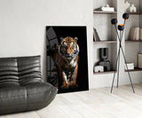 Tiger in the Dog Glass Wall Art|| Designer's Collection