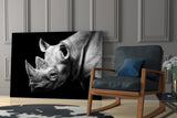 Rhino Glass Wall Art