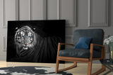 Tiger Glass Wall Art