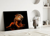 Komodo Dragon Glass Wall Art