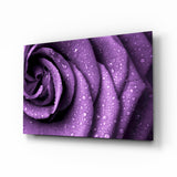 Rose violette Impression sur verre