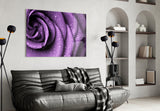 Purple Rose Glass Wall Art