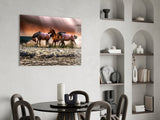 Horses Glass Wall Art