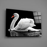 Swan Glass Wall Art