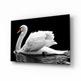 Schwan Glasbild