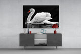 Swan Glass Wall Art