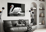 Swan Glass Wall Art