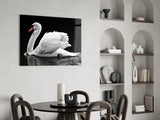 Swan Glass Wall Art