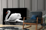 Swan Glass Wall Art