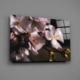 Macro Flower Glass Wall Art