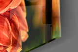 Orange Gerbera Glass Wall Art