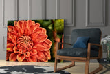 Orange Gerbera Glass Wall Art