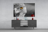 Falcon Glass Wall Art