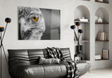 Falcon Glass Wall Art