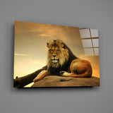 Lion Glass Wall Art