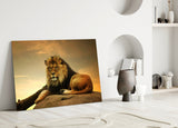 Lion Glass Wall Art