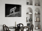 Wolf Glass Wall Art