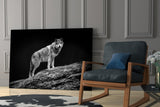 Wolf Glass Wall Art