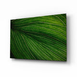 Green Leaf Glass Wall Art