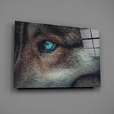 Wolf's Eye Glass Wall Art