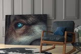 Wolf's Eye Glass Wall Art