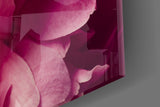 Pink Flower Glass Wall Art