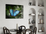 Butterfly Glass Wall Art