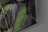 Mossy Stones Glass Wall Art