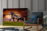 Nobility of Horse Glass Wall Art