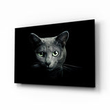 Katze Glasbild