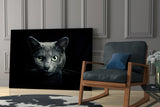 Cat Glass Wall Art