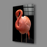 Flamingo Glass Wall Art