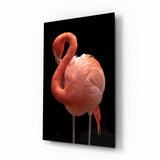 Flamingo Glass Wall Art