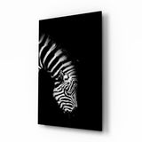 Zebra Glasbild