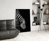 Zebra Glass Wall Art