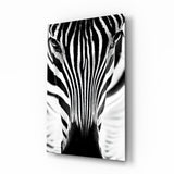 Zebra Glasbild