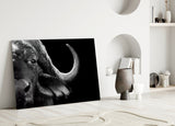 Bison Glass Wall Art