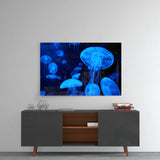 Jellyfish Glass Wall Art