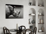 Rhino Glass Wall Art