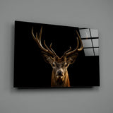 Deer Glass Wall Art