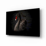 Black Swan Glass Wall Art