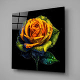 Yellow Rose Glass Wall Art