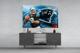 Carolina Panthers Glass Wall Art