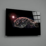 Deepsea Fish Glass Wall Art