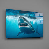 Shark Glass Wall Art